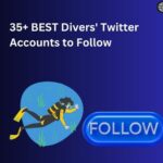 Best Divers' Twitter Accounts