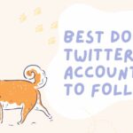 best dog's twitter accounts