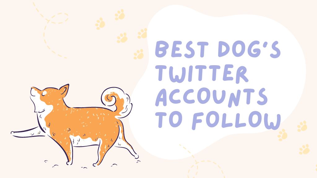 best dog's twitter accounts